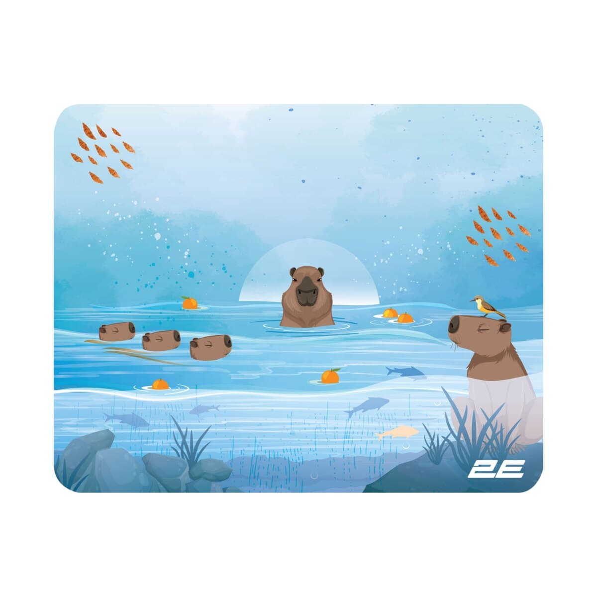 2E Gaming S (250x200x2mm) göy oyun siçan altlığı