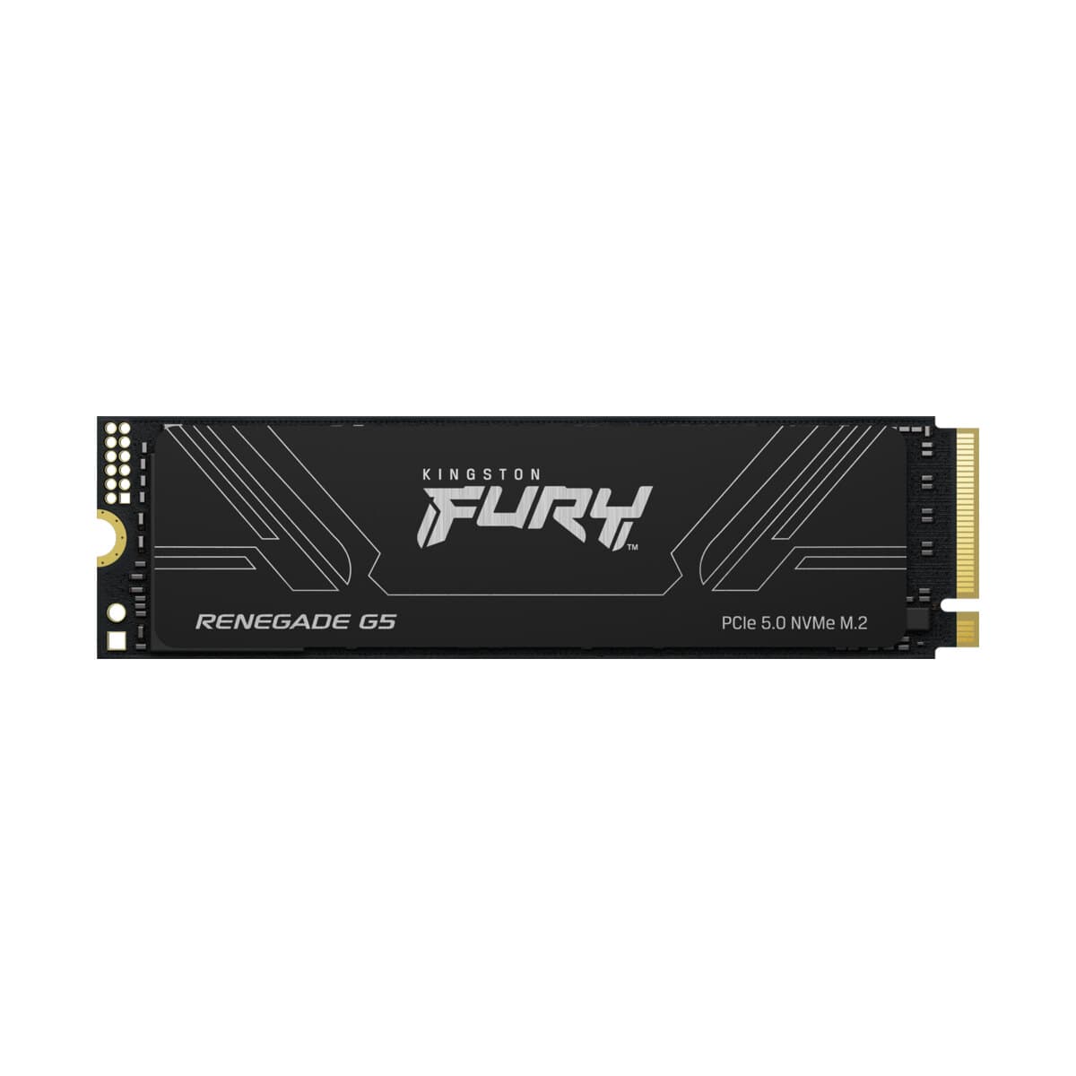 Kingston FURY Renegade G5 2TB M.2 NVMe SSD