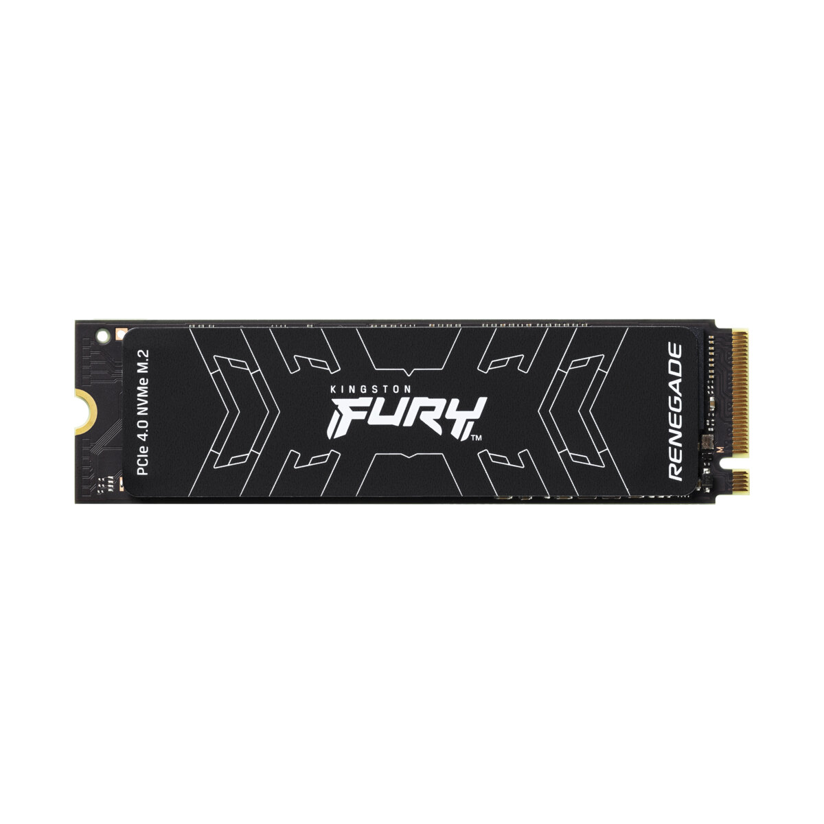 Kingston FURY Renegade 1TB M.2 NVMe SSD