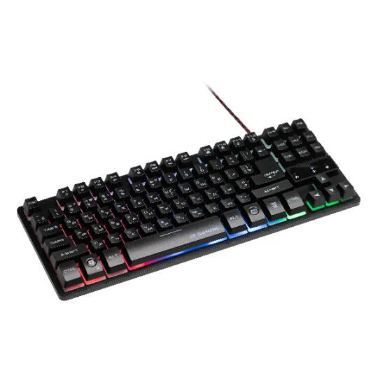 2E Gaming KG290 TKL Metal LED Oyun Klaviaturası (2E-KG290UB)
