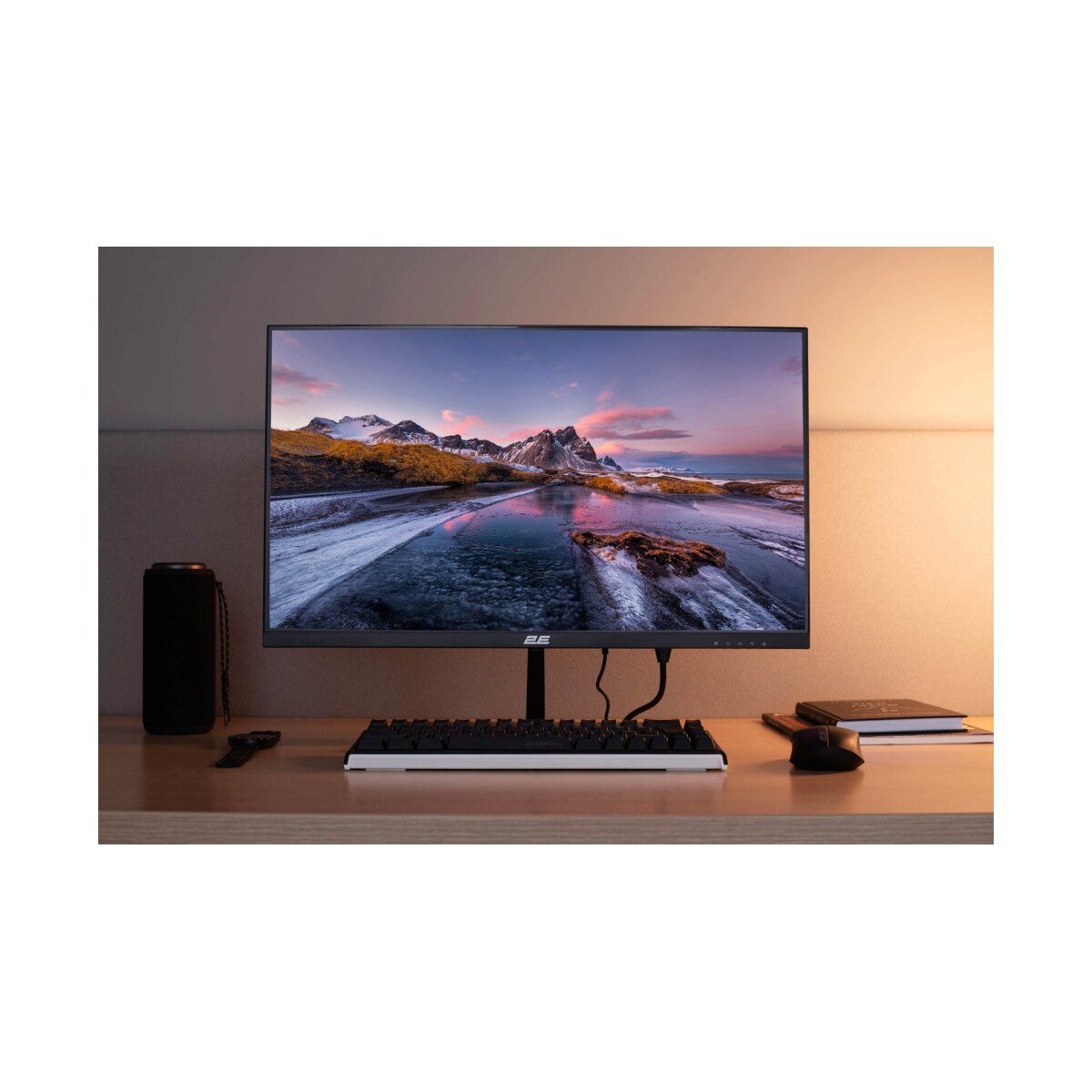 2E 23.8" D2425B IPS 100Hz monitor