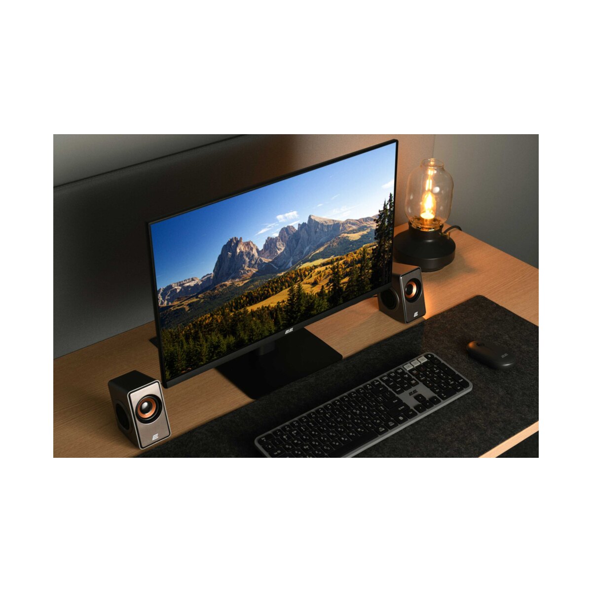 2E 23.8" F2425B IPS 100Hz monitor